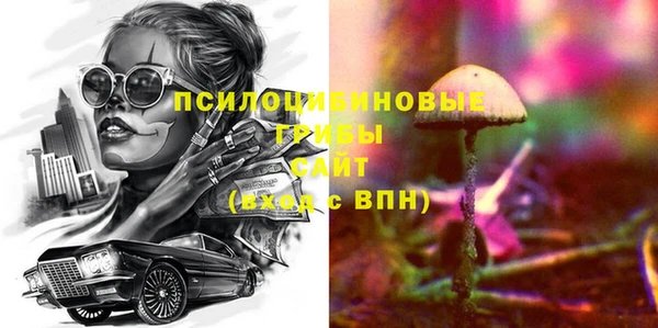 apvp Верея