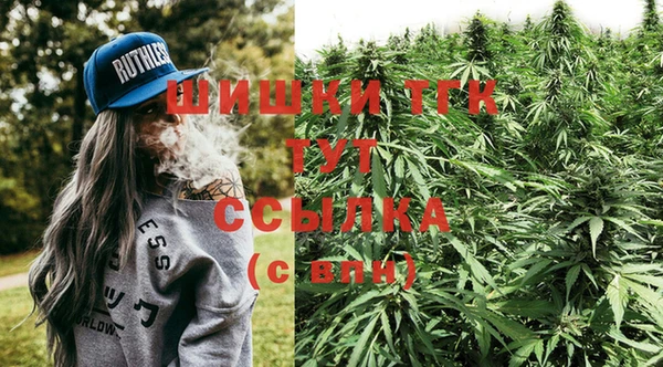 a pvp Горнозаводск